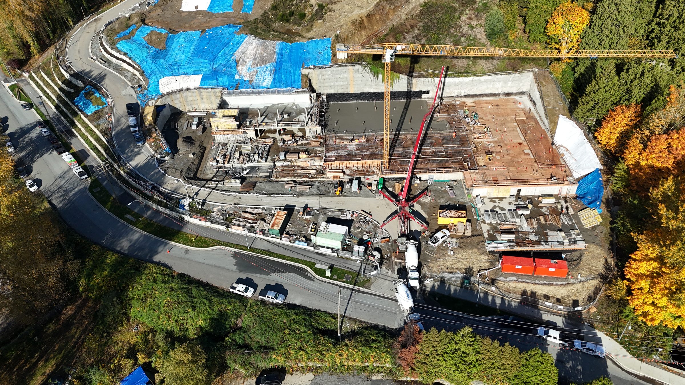 Fraser Crescent Apartments photo 4
