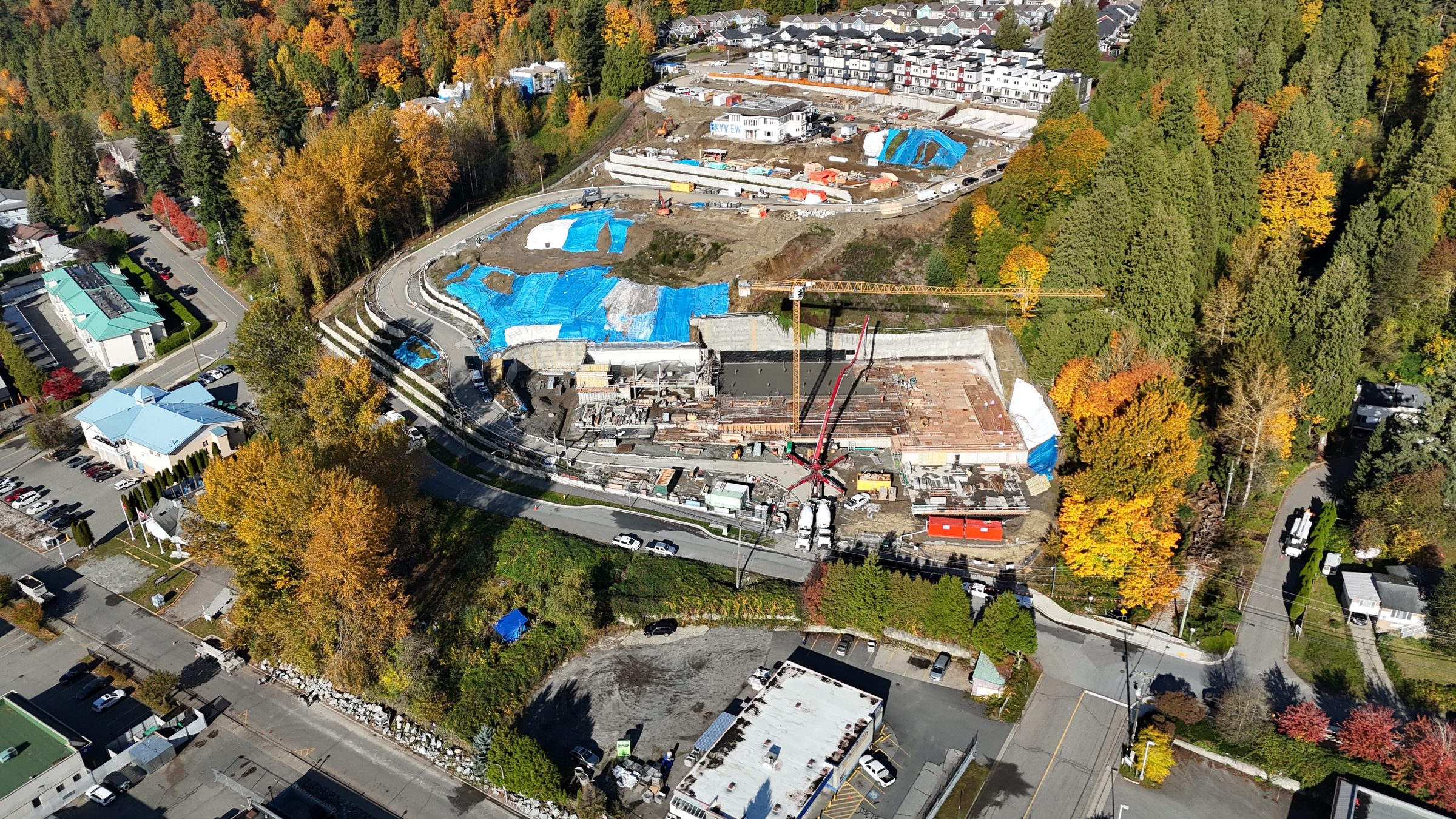 Fraser Crescent Apartments photo 6