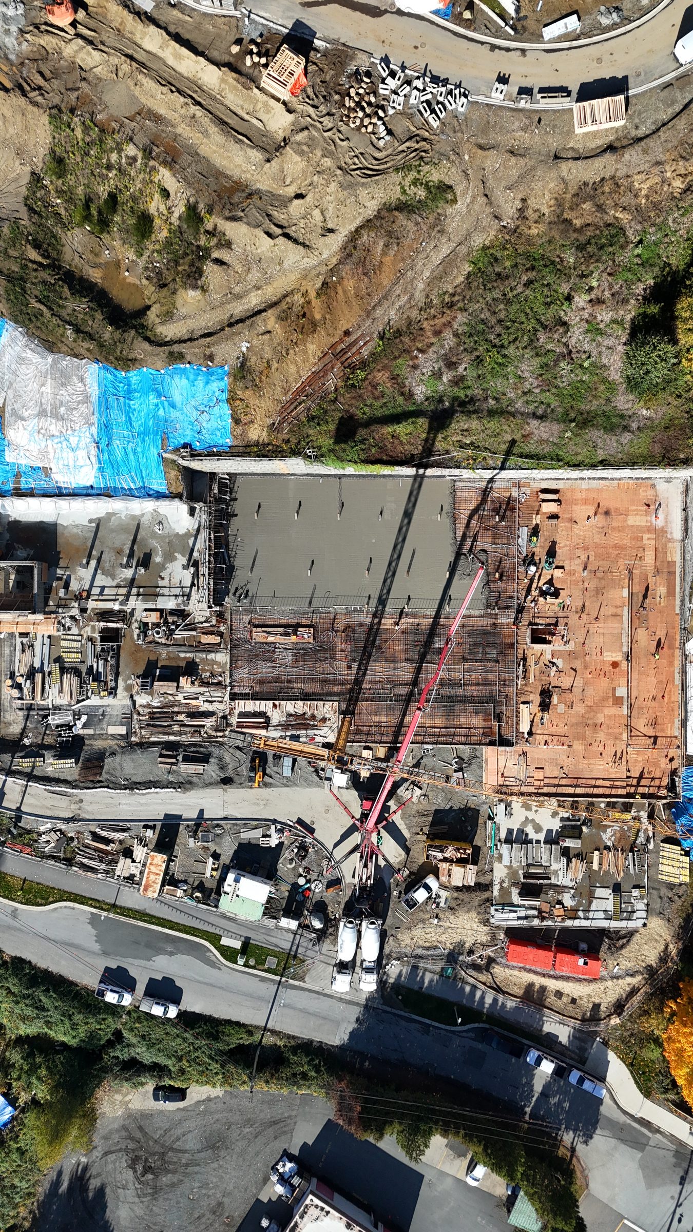 Fraser Crescent Apartments photo 11