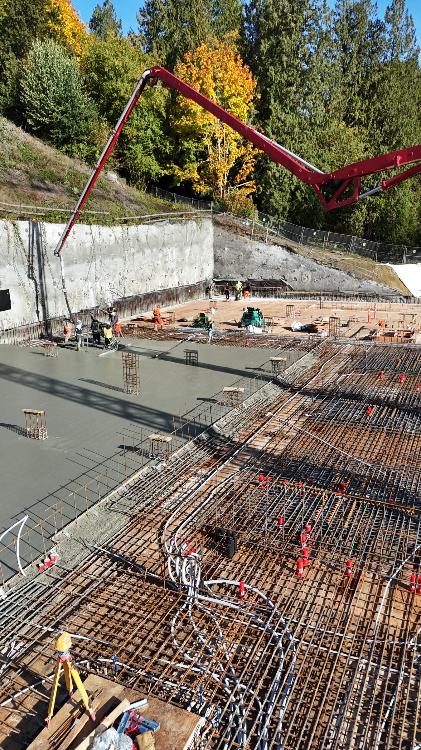 Fraser Crescent Apartments photo 13