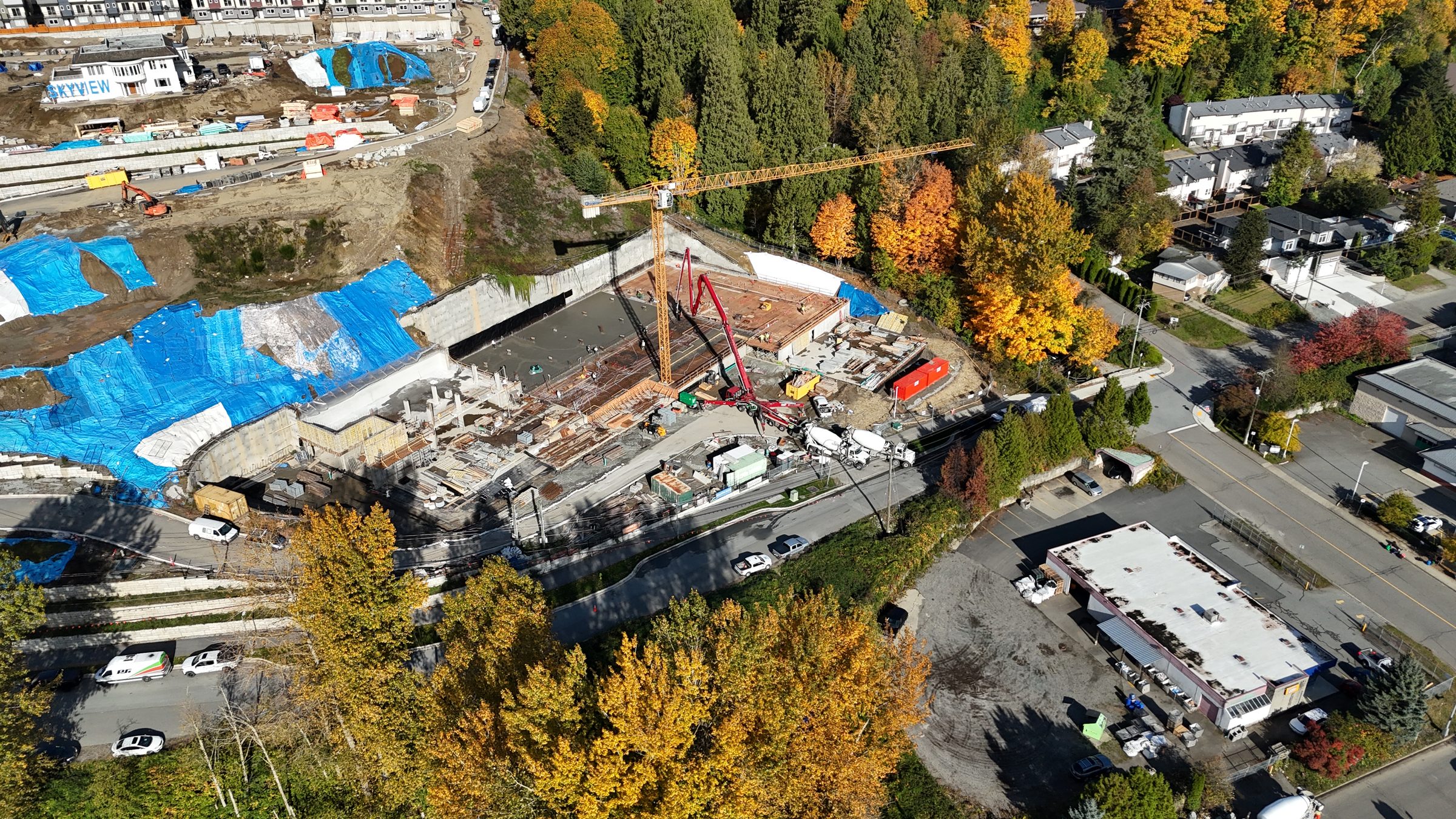 Fraser Crescent Apartments photo 17